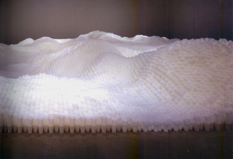 tara-donovan-sin-titulo-vasos-de-plastico-2006