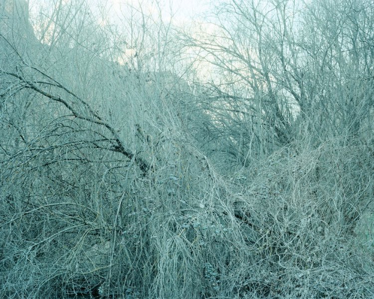 Fernando Maselli_Hoces del Rio Duraton (2)