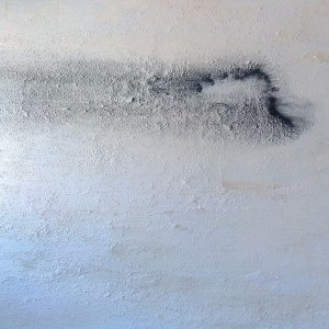 Alberto Reguera 2015  220 x220 cm (2)