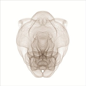 angelo_novo_branco_low_res_1408387476