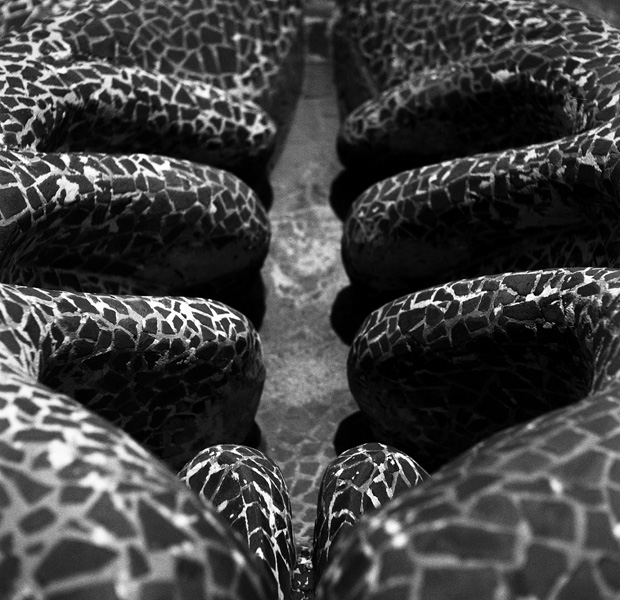 Ossain-Raggi-del-libro-Restauración_-El-anillo-y-el-estanque