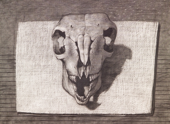 youssef-abdelke-skull-works-on-paper