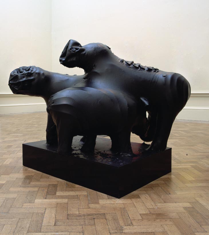 alexander_hoda_saddleback