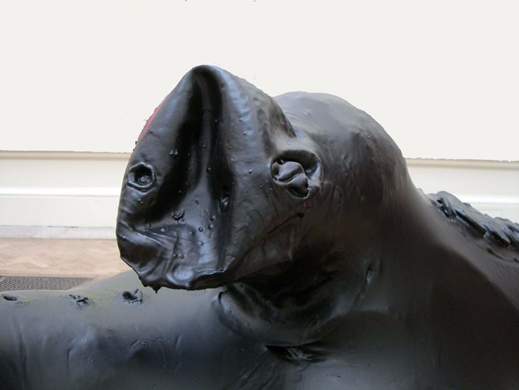 alexander_hoda_saddleback_detail