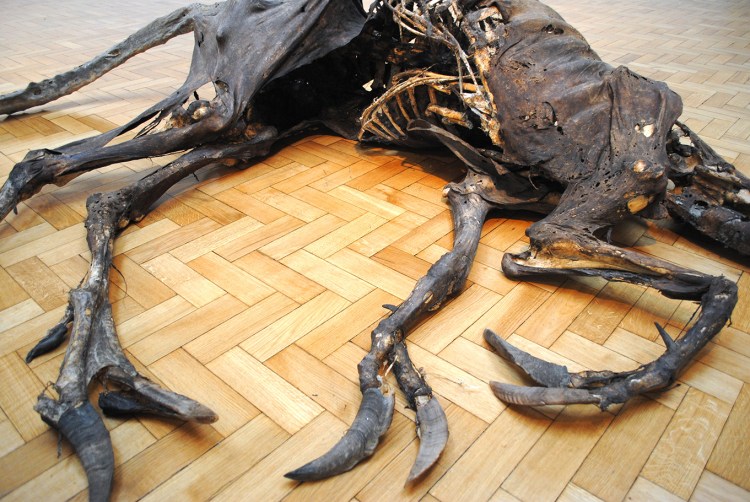 Charles-Avery-The-Sea-Monster