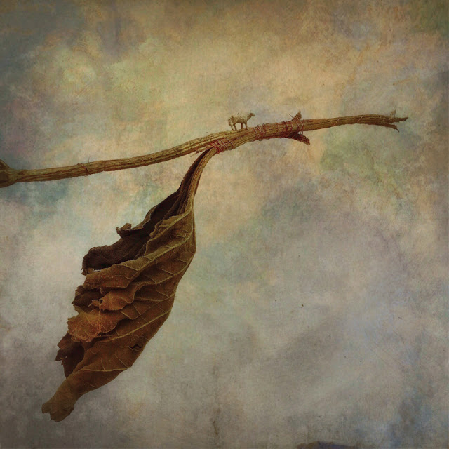 jose luis lopez moral el viaje