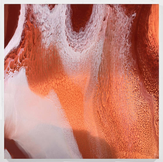 jenniferwolfcomposite-13_jpg_w560h556