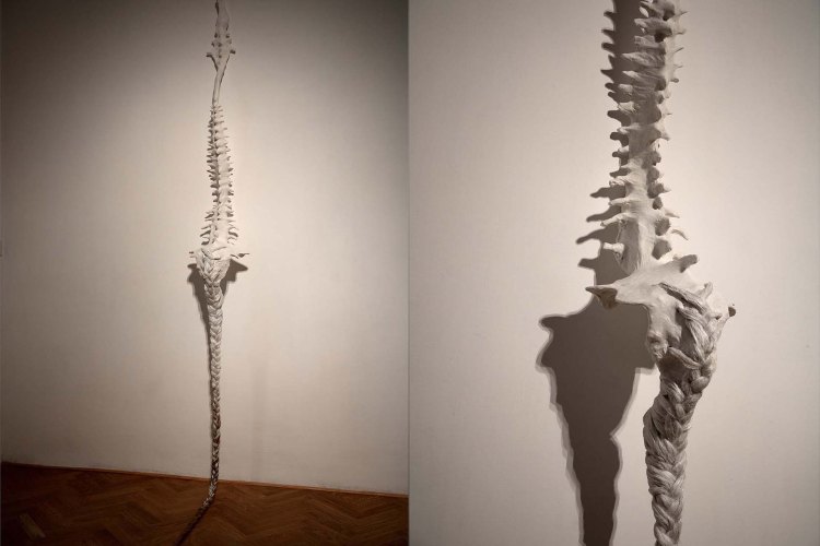 SachaTurchi_works_Bryonia_2