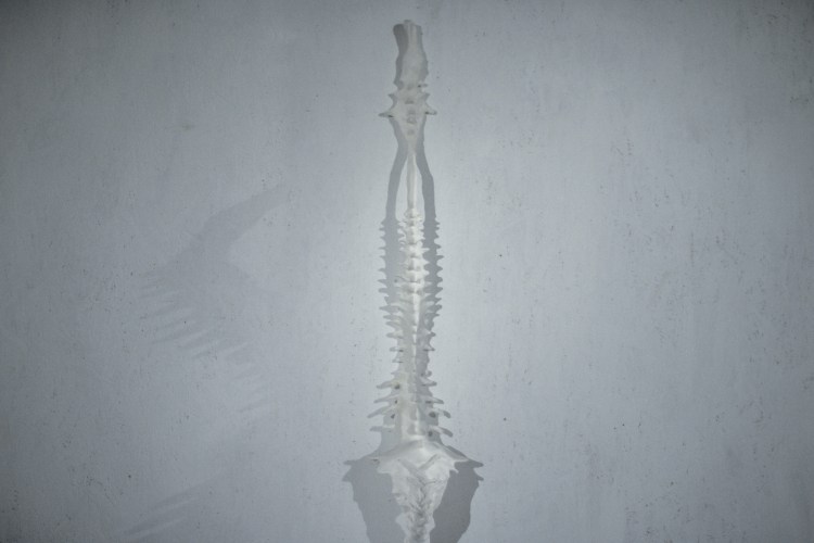 sacha_turchi_027-e1454371195175